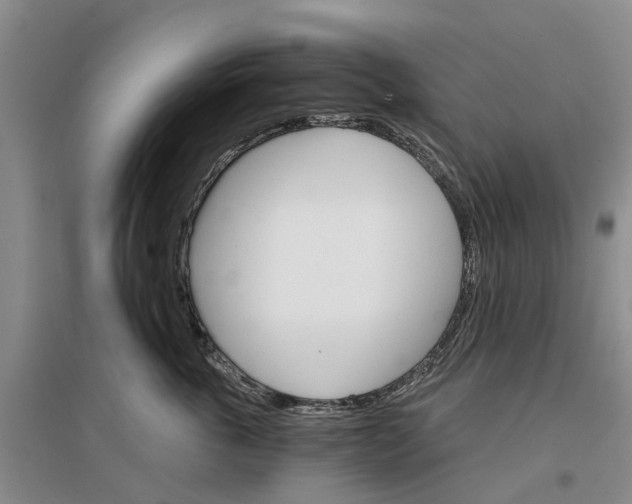 X0000096690763200802261540