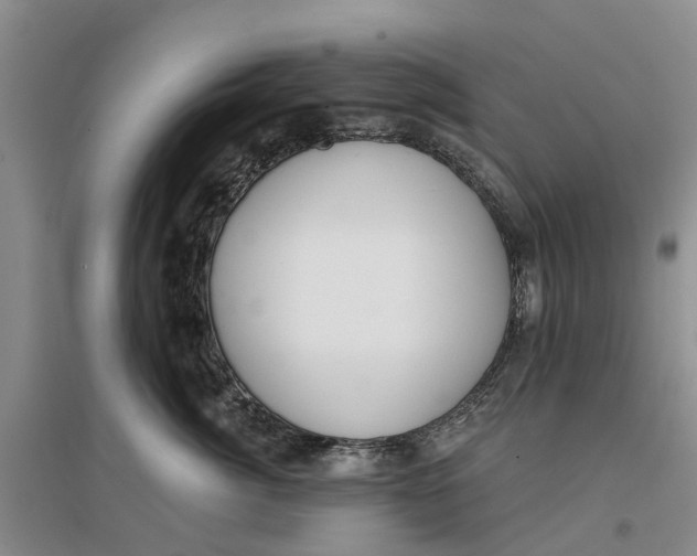 X0000096690764200802261540