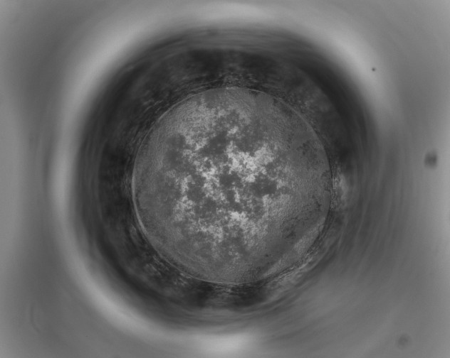 X0000096690765200802261540