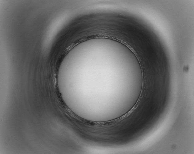 X0000096690766200802261540