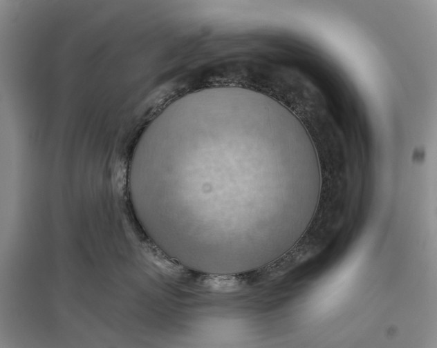 X0000096690767200802261540