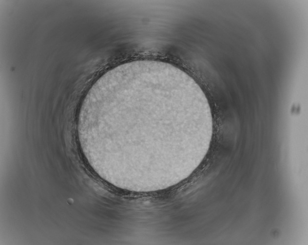 X0000096690769200802261539