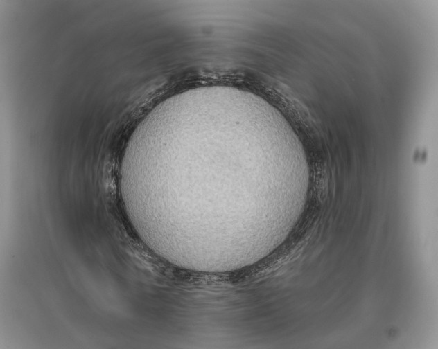 X0000096690770200802261539