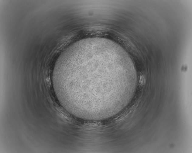 X0000096690771200802261539