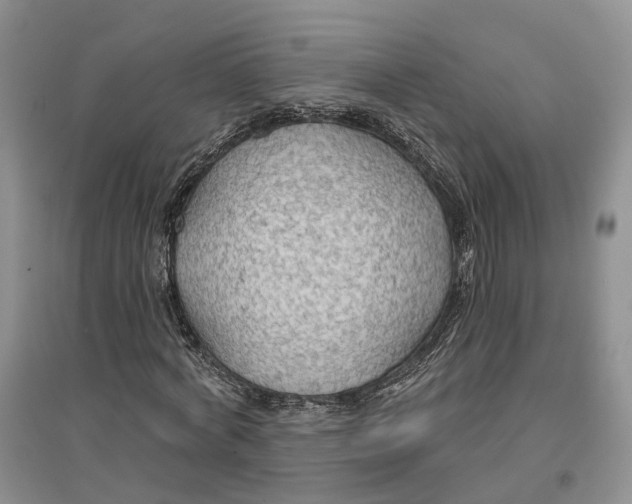 X0000096690772200802261539