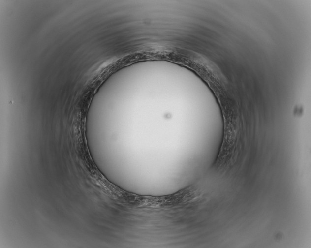 X0000096690773200802261539