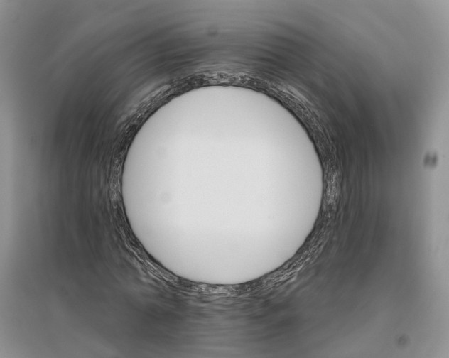 X0000096690774200802261539