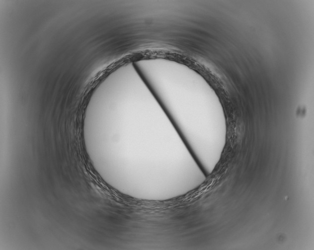 X0000096690775200802261539