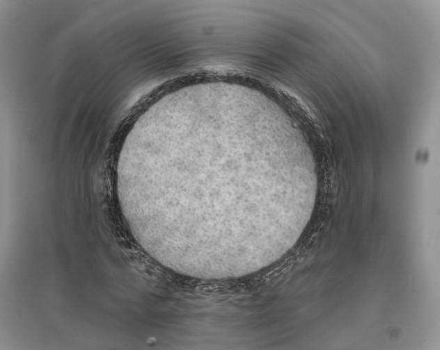 X0000096690776200802261539