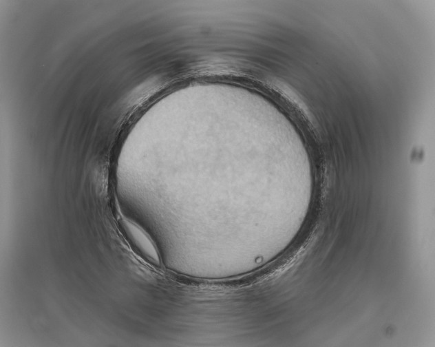 X0000096690777200802261539