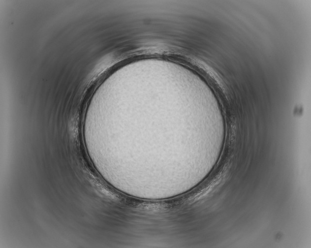 X0000096690778200802261539