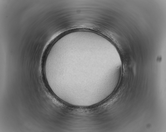 X0000096690780200802261539