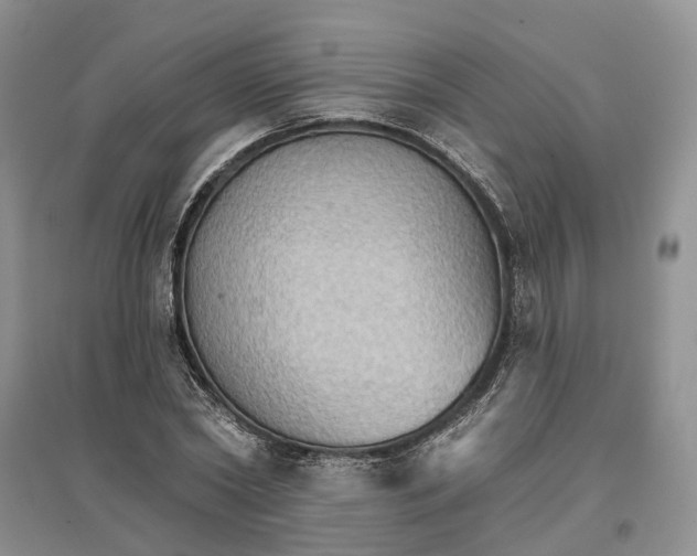 X0000096690782200802261539