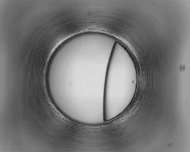 X0000096690783200802261539