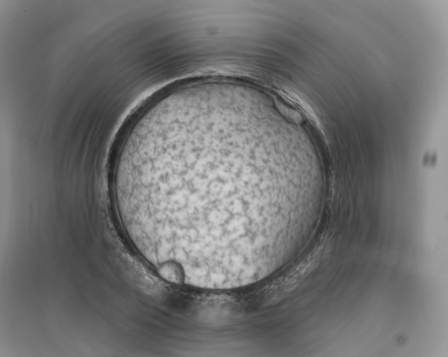 X0000096690784200802261539