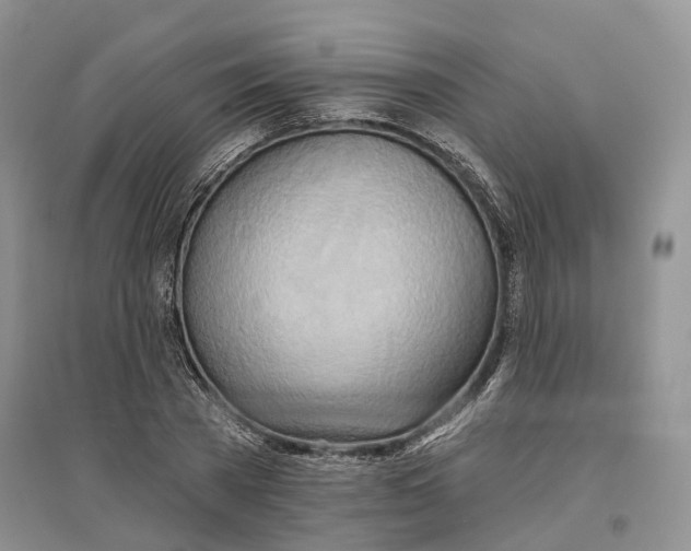 X0000096690785200802261539