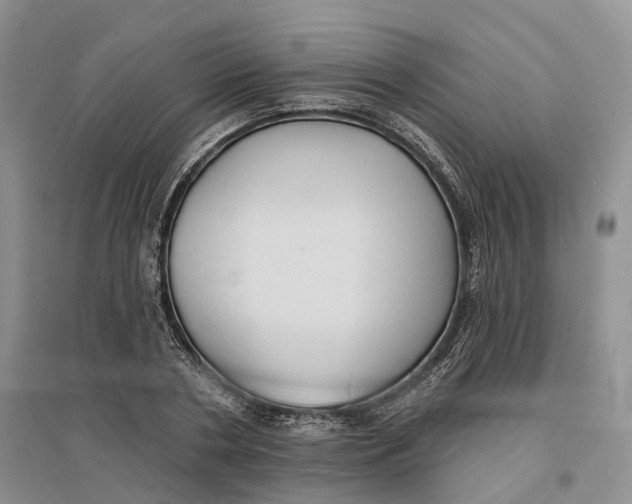 X0000096690786200802261539