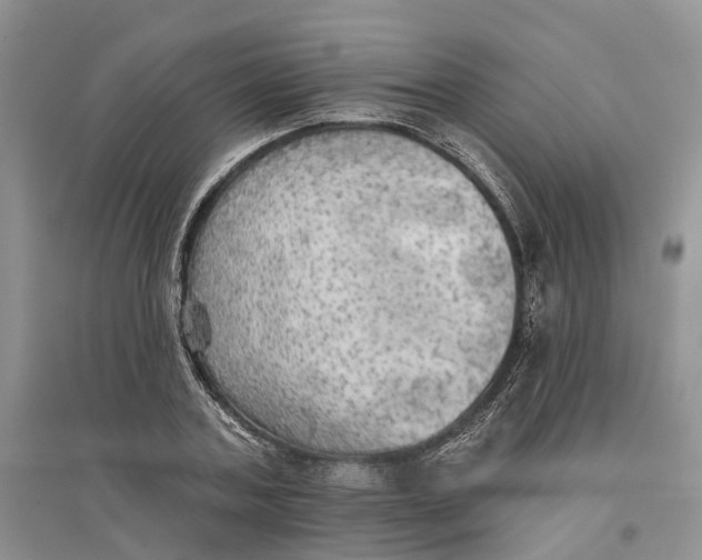 X0000096690787200802261539