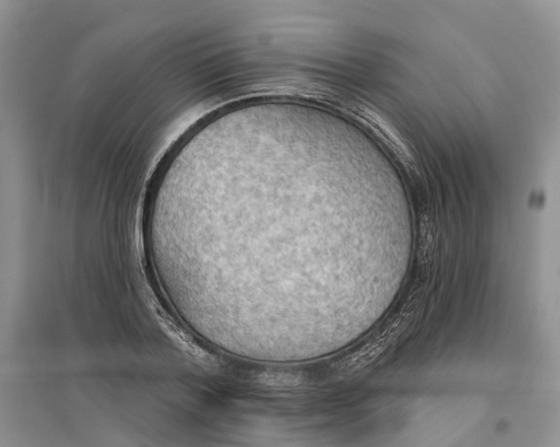 X0000096690788200802261539