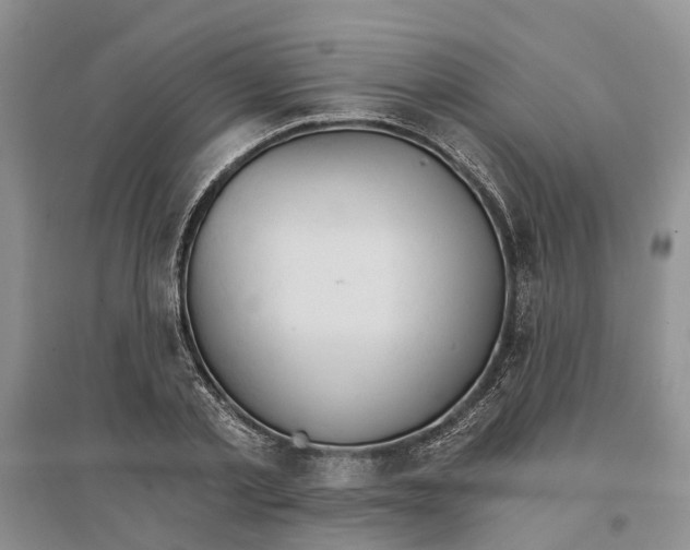 X0000096690789200802261539