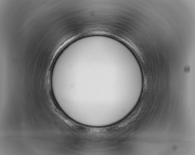 X0000096690790200802261539