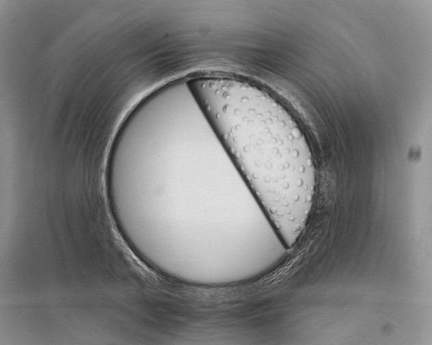 X0000096690791200802261539