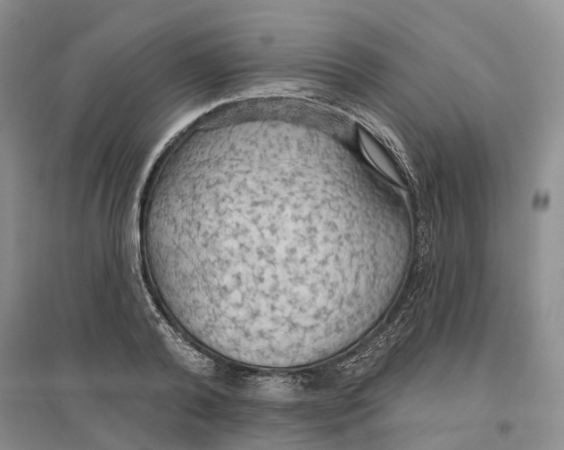 X0000096690792200802261539