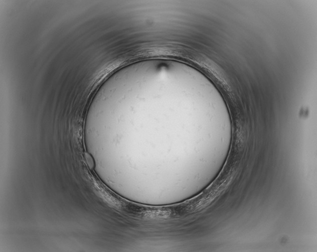 X0000096690793200802261539