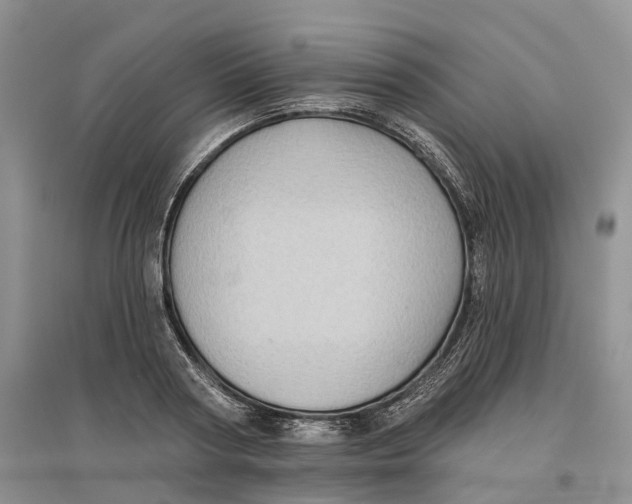 X0000096690794200802261539