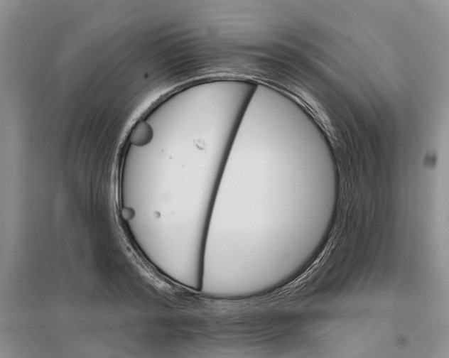 X0000096690796200802261539