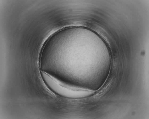 X0000096690797200802261539