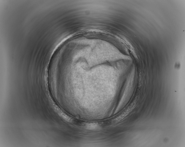 X0000096690798200802261539