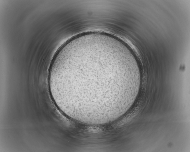 X0000096690799200802261539