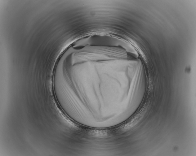 X0000096690802200802261539