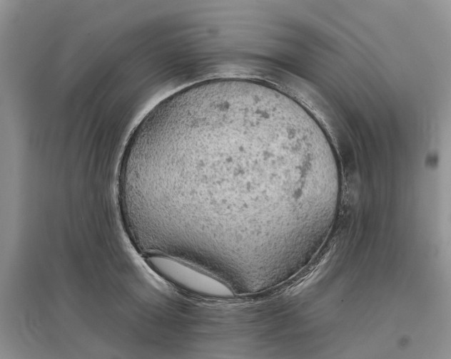 X0000096690803200802261539