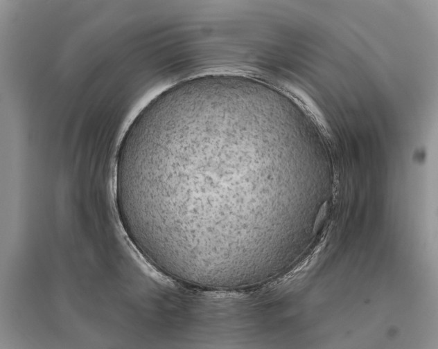 X0000096690804200802261539