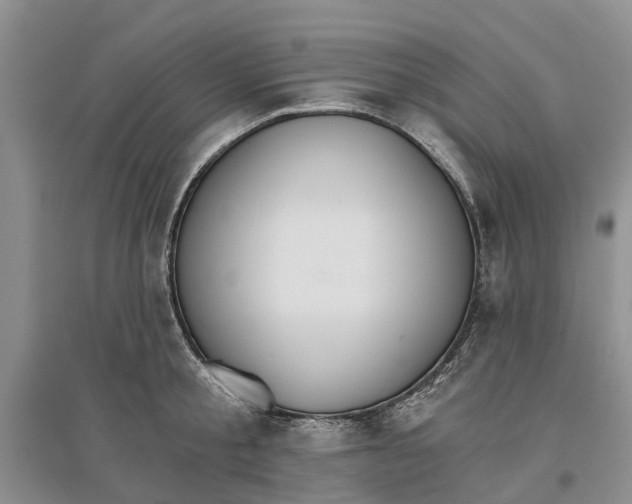 X0000096690805200802261539