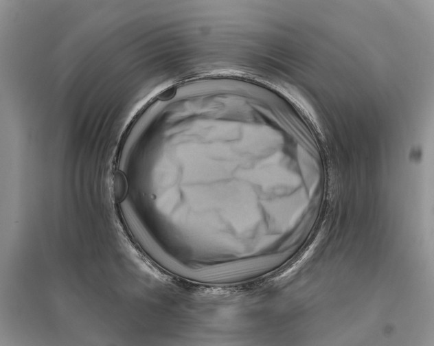 X0000096690806200802261539