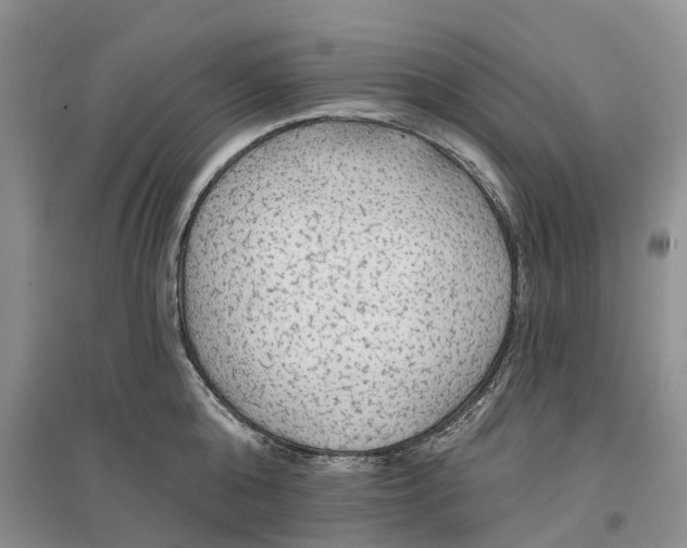 X0000096690808200802261539