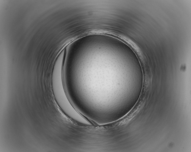 X0000096690809200802261539