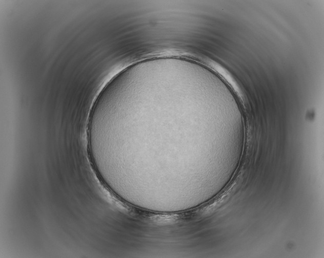 X0000096690810200802261539