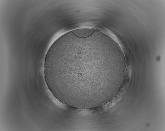 X0000096690811200802261539