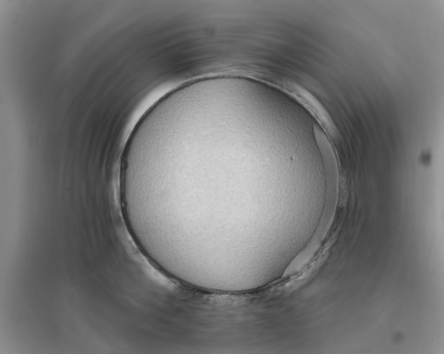 X0000096690812200802261539