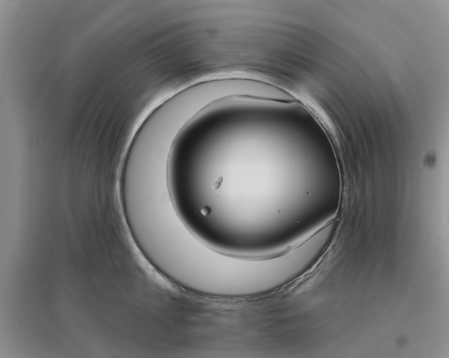 X0000096690813200802261539