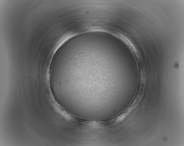 X0000096690814200802261539