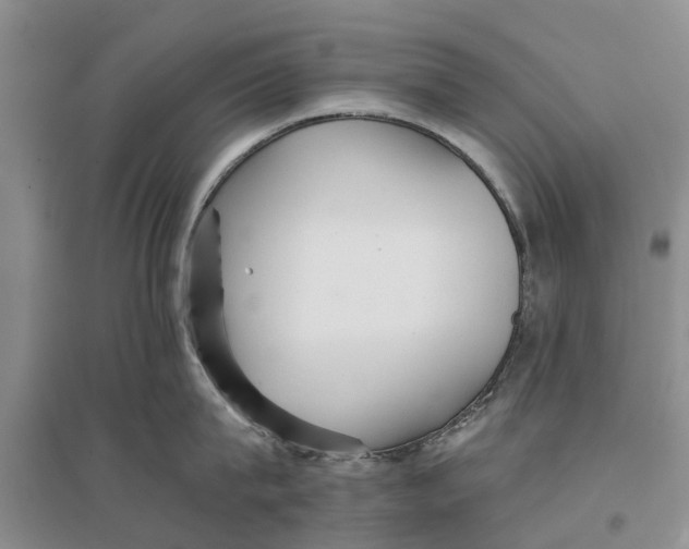 X0000096690815200802261539