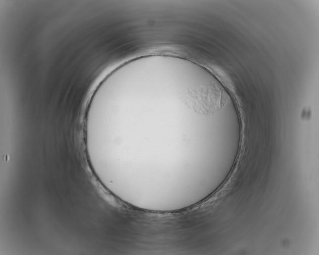 X0000096690816200802261539