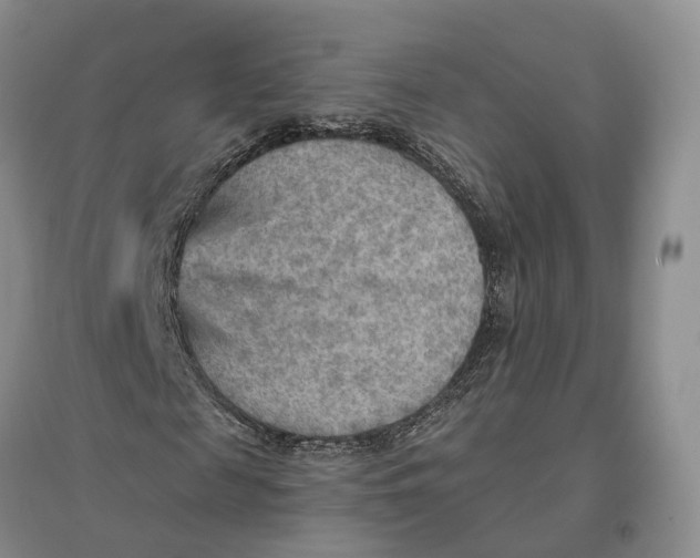 X0000096690817200802261538