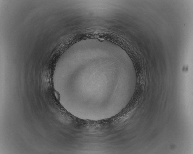 X0000096690818200802261538