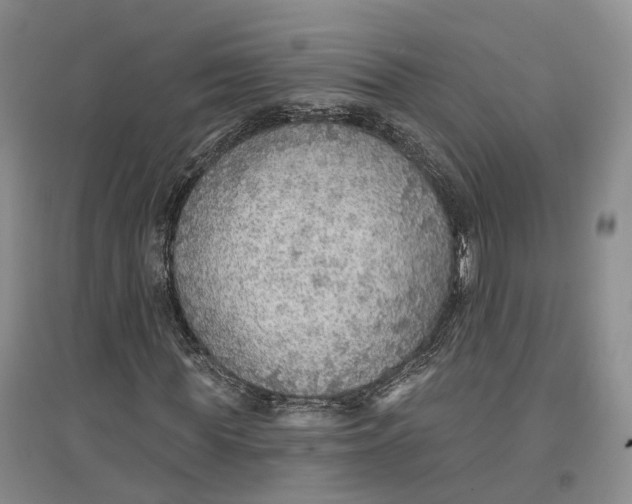 X0000096690819200802261538